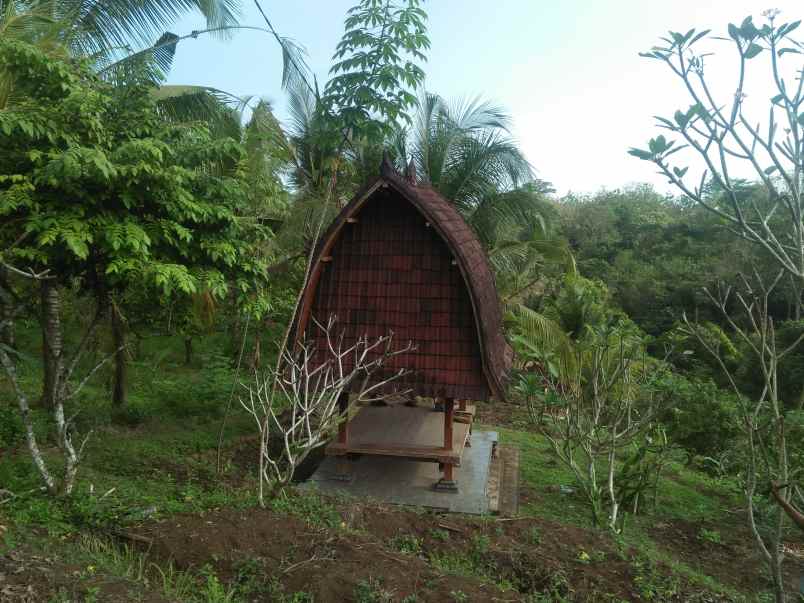 tanah pantai soka selemadeg tabanan