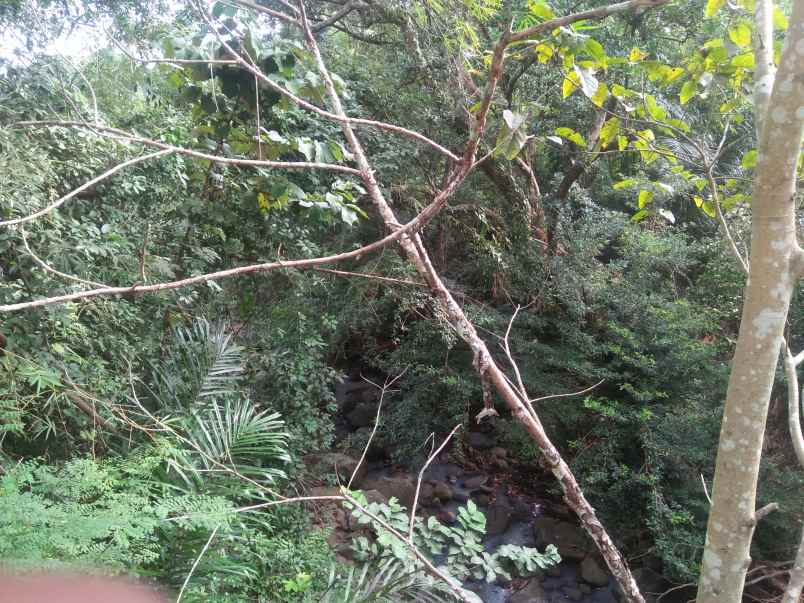 tanah pantai soka selemadeg tabanan