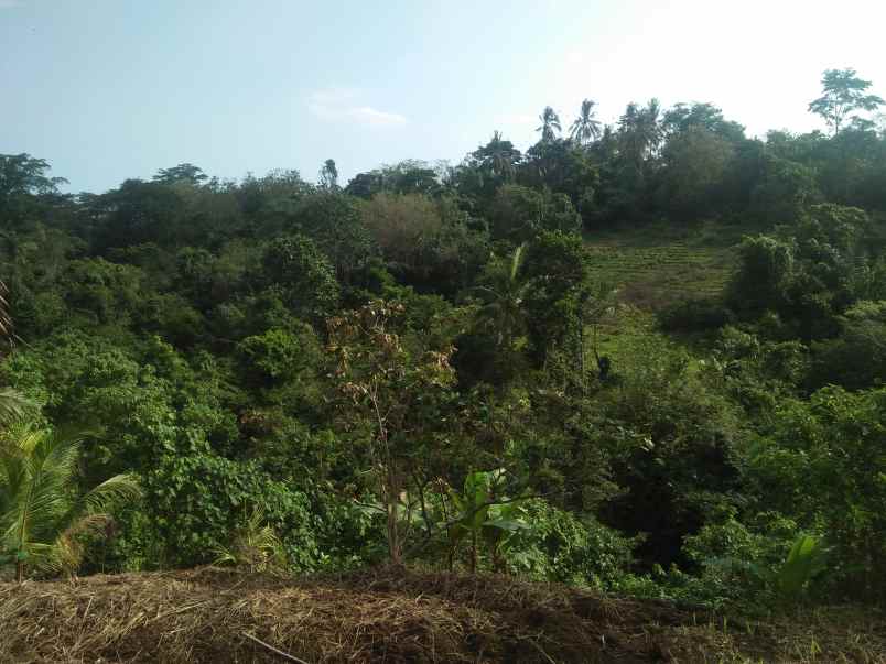 tanah pantai soka selemadeg tabanan