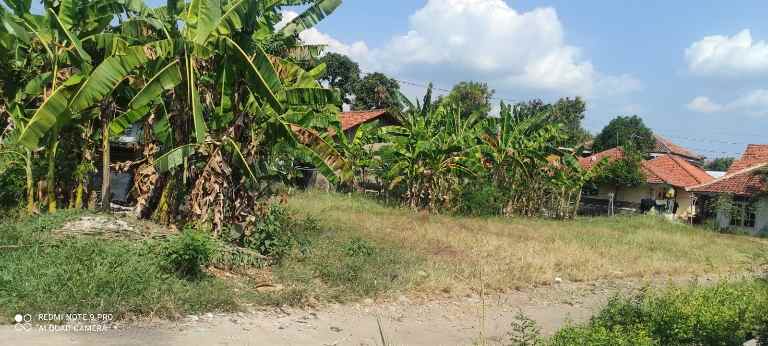 tanah rata dan padat di kawasan komersil