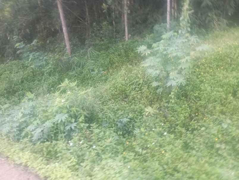 tanah siap bangun view pegunungan bandung selatan