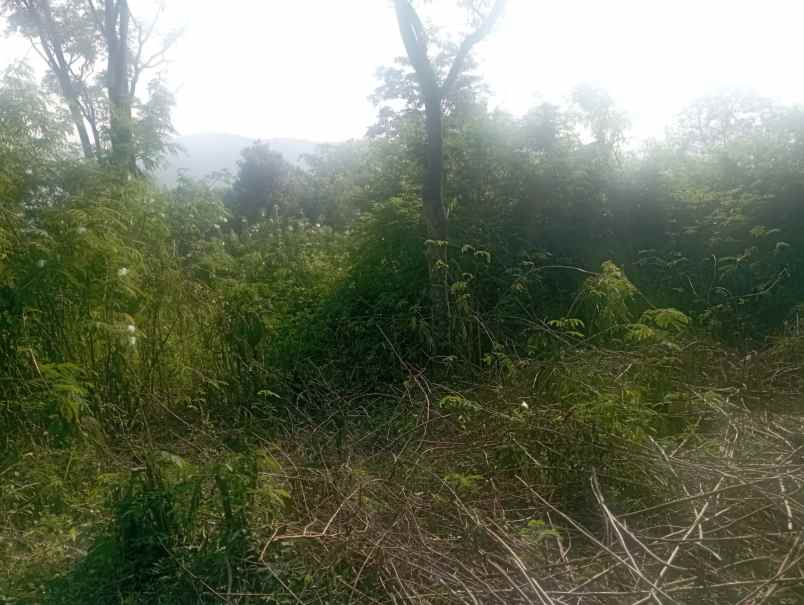 tanah siap bangun view pegunungan bandung selatan