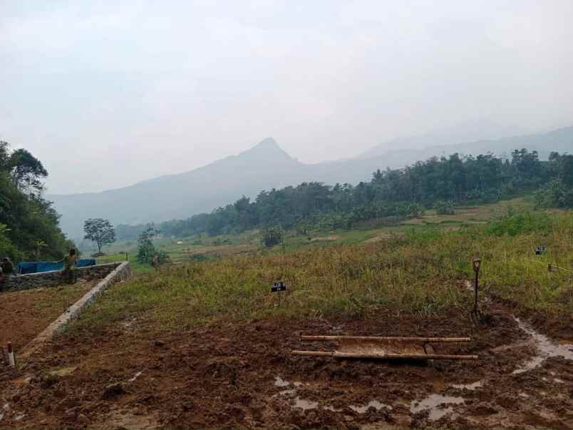 tanah sukamakmur bogor timur