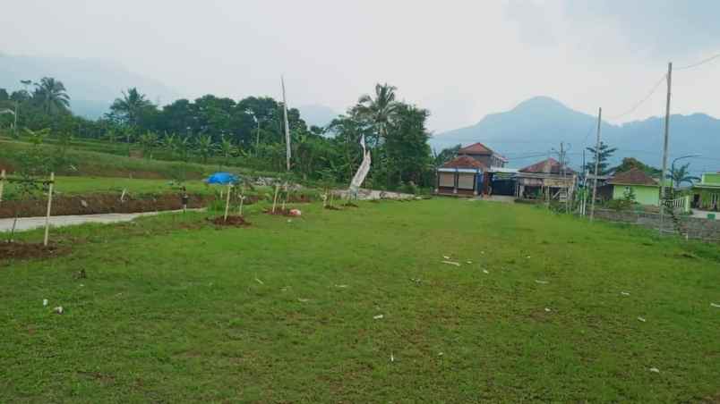 tanah sukamakmur bogor timur