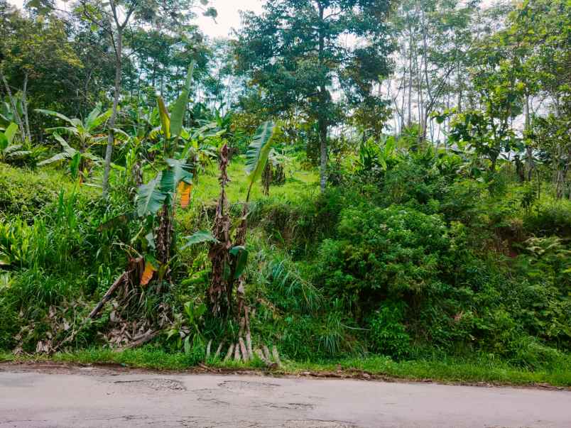 tanah tepi jl dpu kemuning