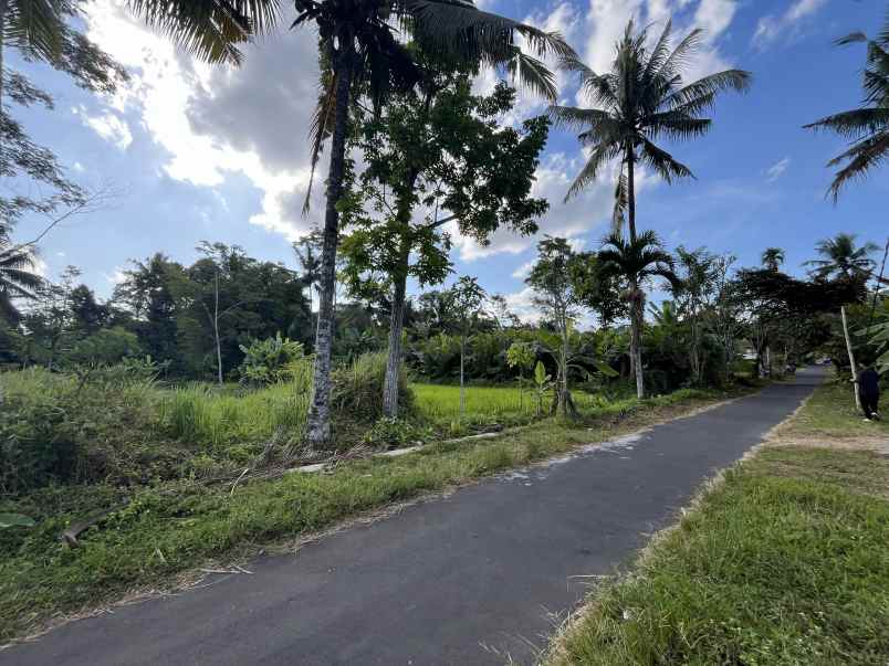 tanah view sawah di utara kantor kecamatan turi