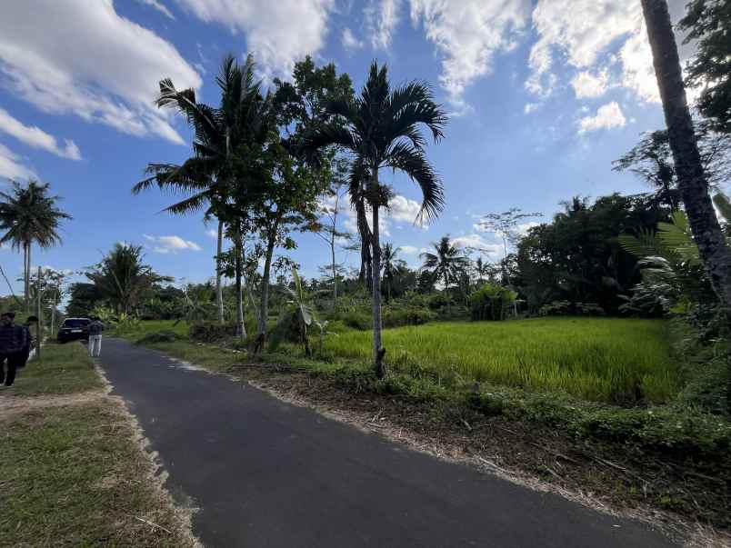 tanah view sawah di utara kantor kecamatan turi