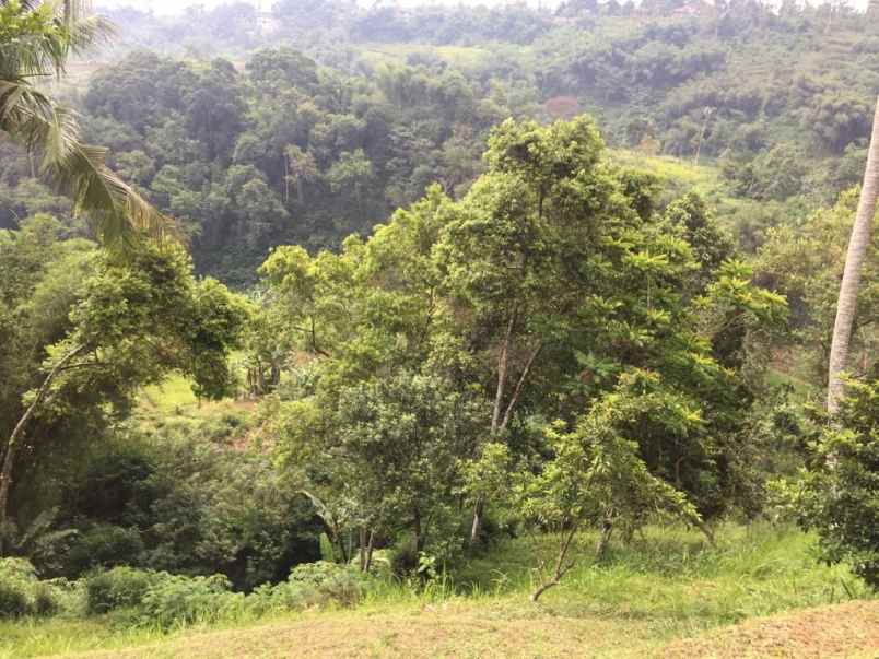 01 dijual villa cngik di panca wati ciawi bogor