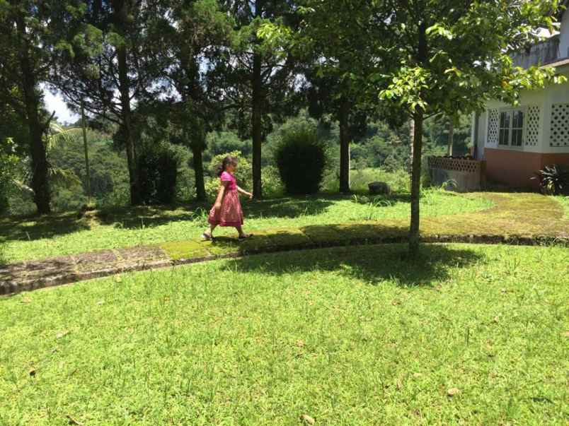 01 dijual villa cngik di panca wati ciawi bogor