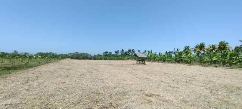 beachfront land zona pariwisata dekat paramount bali