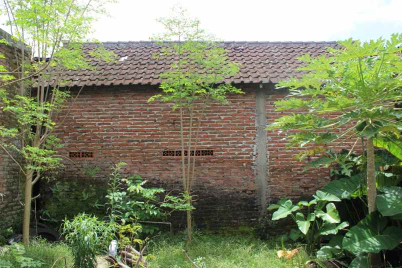 bwi a 456 rumah strategis di kenjo glagah banyuwangi