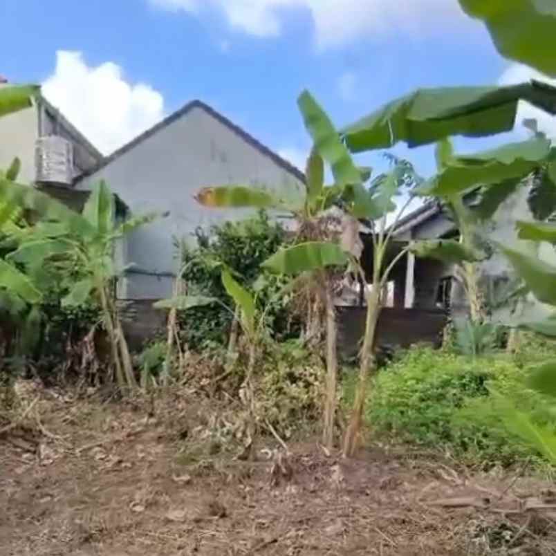 dijual 79 01 are jl astasura vi nangka utara denpasar