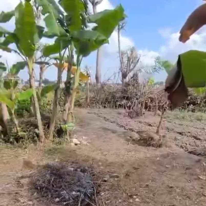 dijual 79 01 are jl astasura vi nangka utara denpasar