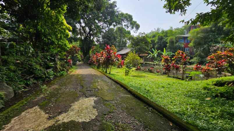 dijual lahan tanah daerah gadog bogor jawa barat