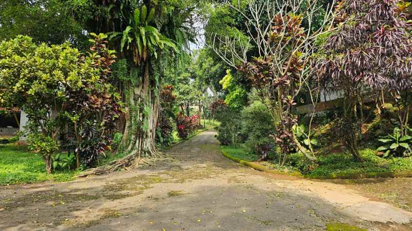 dijual lahan tanah daerah gadog bogor jawa barat