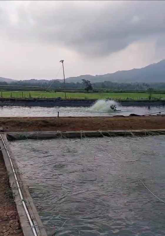 dijual rumah jalan raya mandalawangi