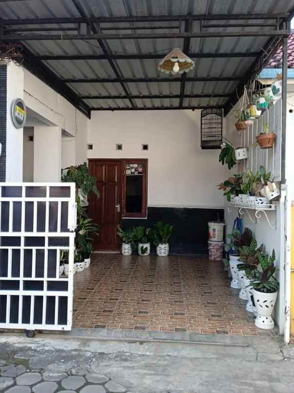dijual rumah kasihan