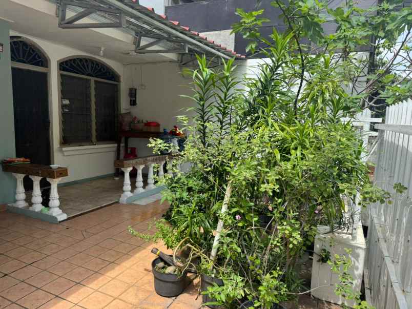 dijual rumah kelapa cengkir kelapa