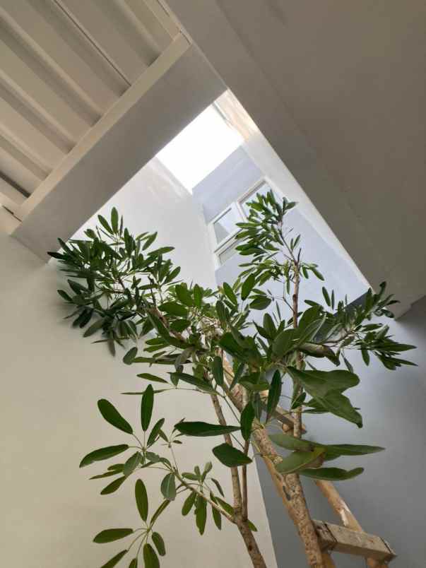 dijual rumah kelapa dua wetan ciracas