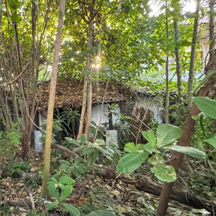 dijual tanah badak agung