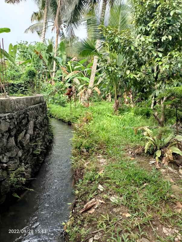 dijual tanah bajera tabanan bali