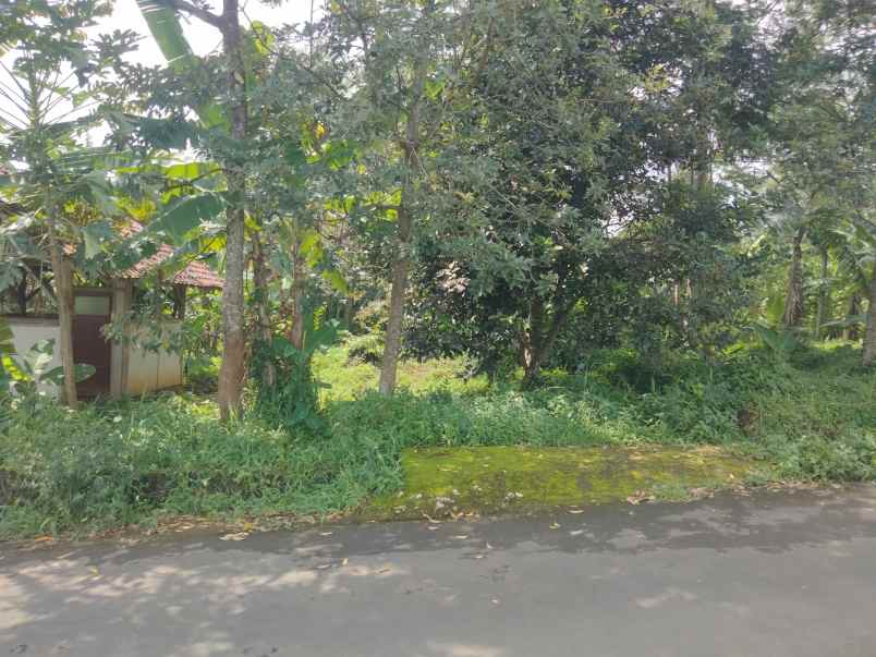 dijual tanah bandorasa kec cilimus kuningan