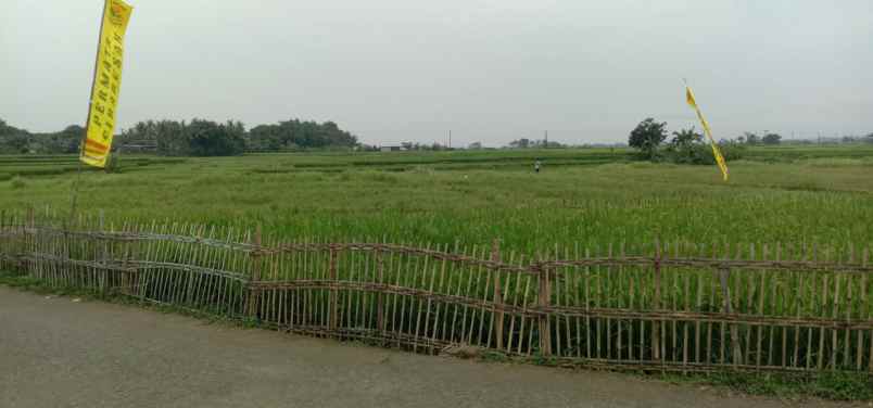 dijual tanah cibarusah