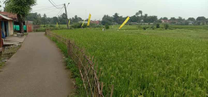 dijual tanah cibarusah