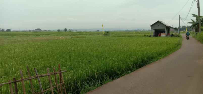 dijual tanah cibarusah