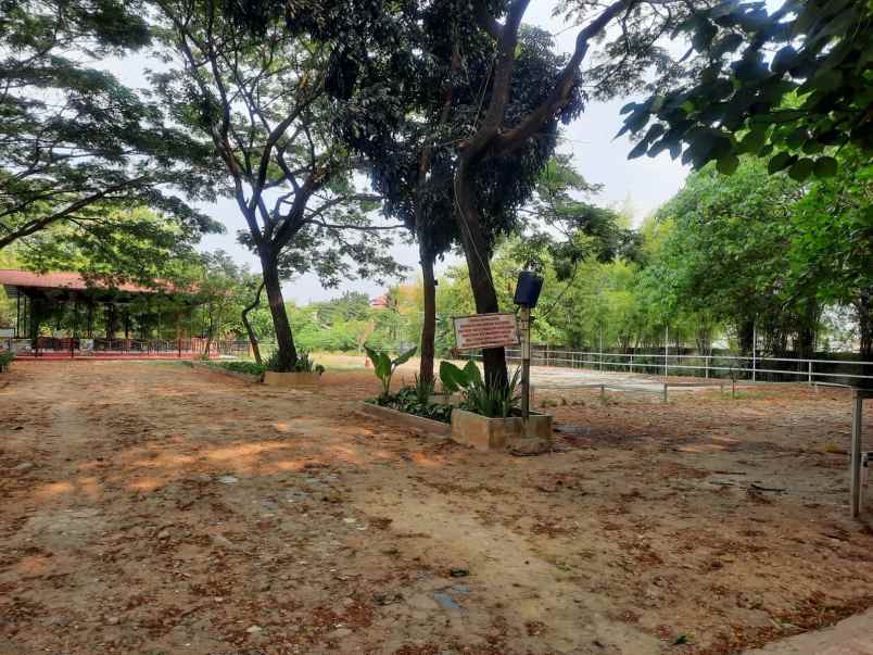 dijual tanah cikunir