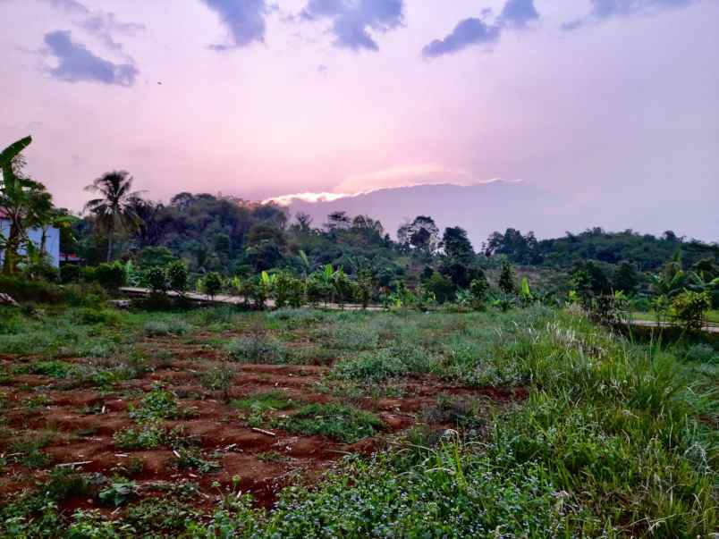 dijual tanah darangdan