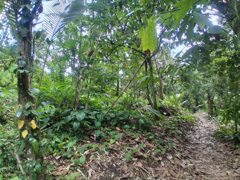 dijual tanah desa antosari kec