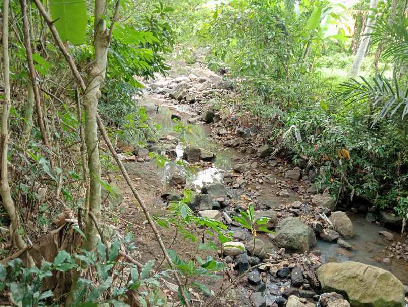 dijual tanah desa bajra kec selemadeg