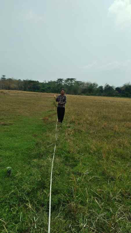 dijual tanah desa kepongpongan kec