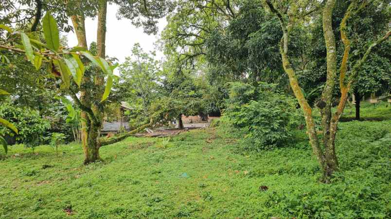 dijual tanah ds tamansari kec tamansari