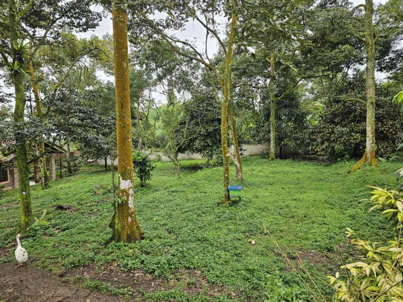 dijual tanah ds tamansari kec tamansari