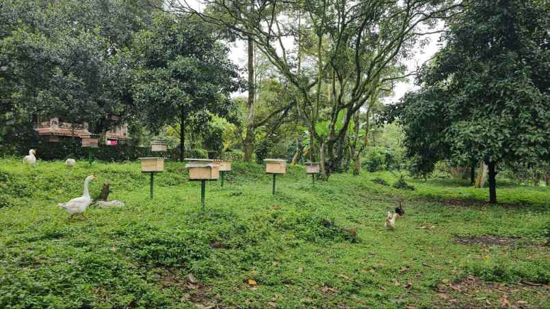 dijual tanah ds tamansari kec tamansari