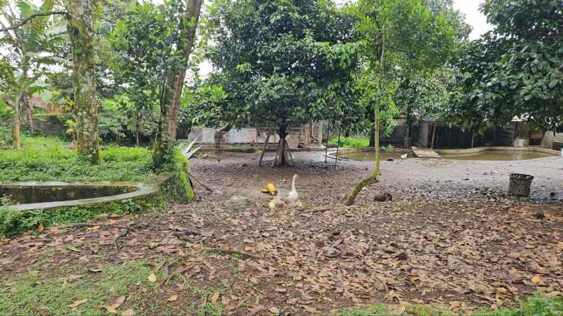 dijual tanah ds tamansari kec tamansari