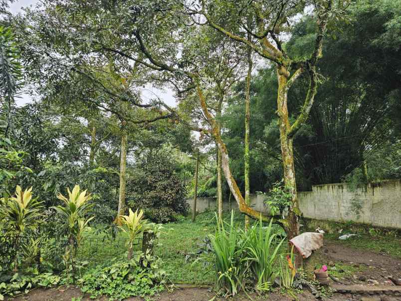 dijual tanah ds tamansari kec tamansari