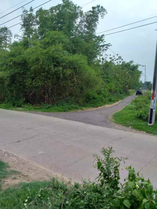 dijual tanah dsn sebani tanjang ngono