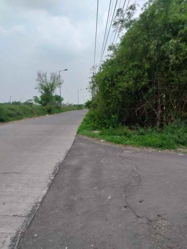 dijual tanah dsn sebani tanjang ngono