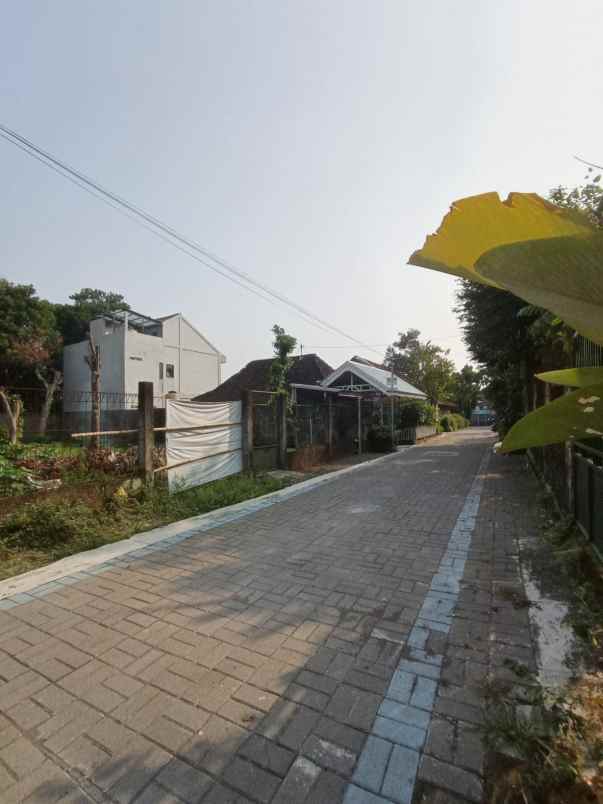dijual tanah ganjuran conding catur
