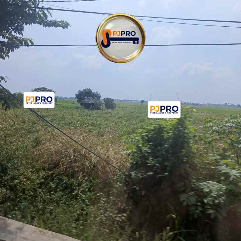 dijual tanah jalan kedung jaya