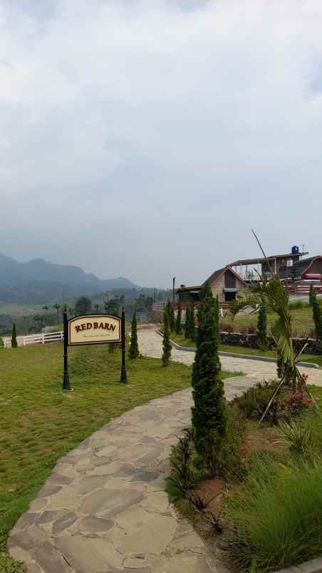 dijual tanah jalan raya sukamakmur jonggol