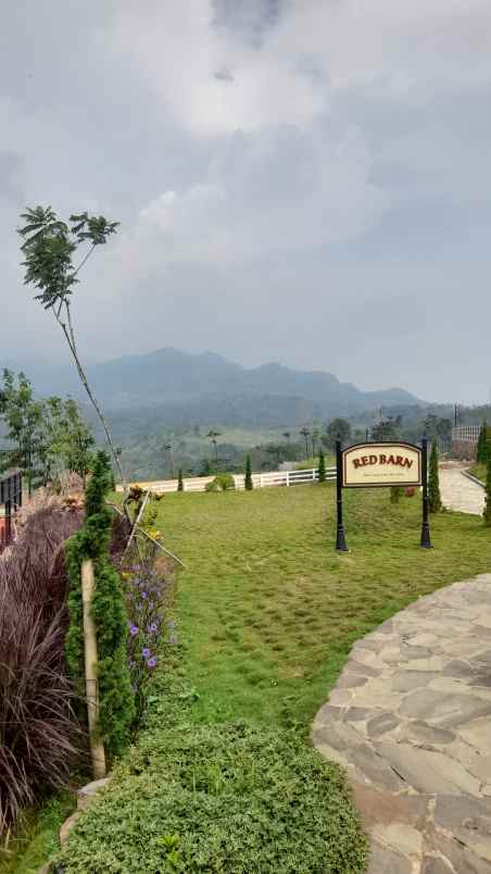 dijual tanah jalan raya sukamakmur jonggol