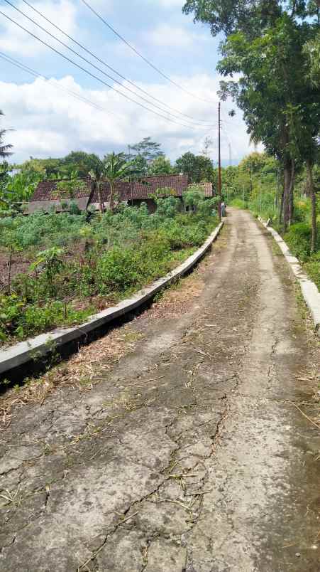 dijual tanah jl argodadi ngepek