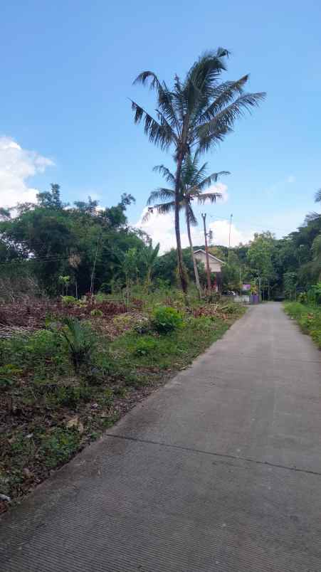 dijual tanah jl argodadi ngepek