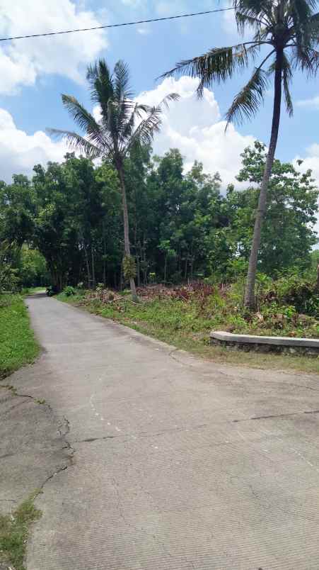 dijual tanah jl argodadi ngepek