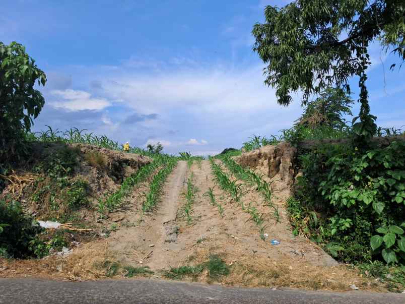 dijual tanah jl banjar siyut tulikup