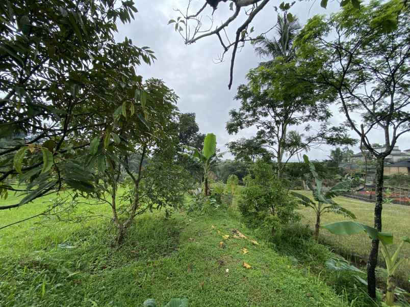 dijual tanah jl cibalung cijeruk bogor